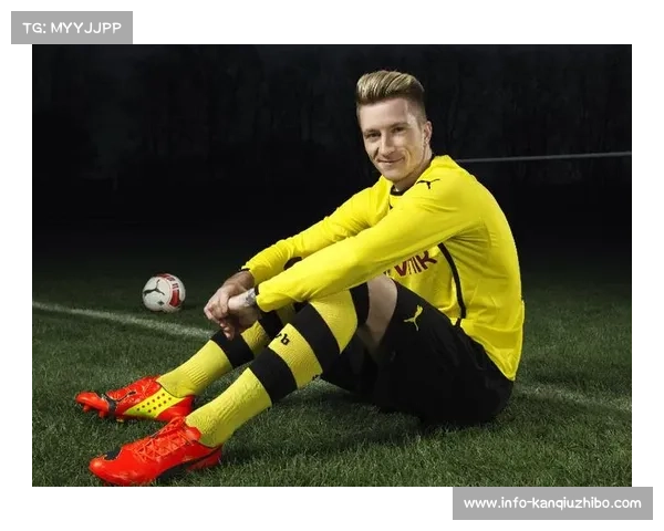 博格职业生涯回顾，多特蒙德历史名宿受关注